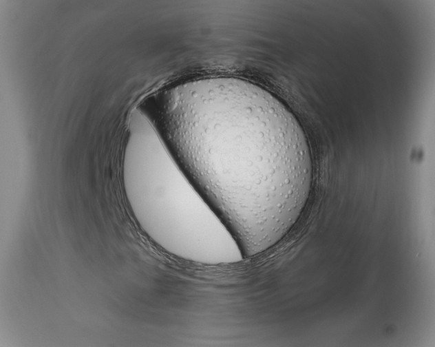 X0000113921201200909241321