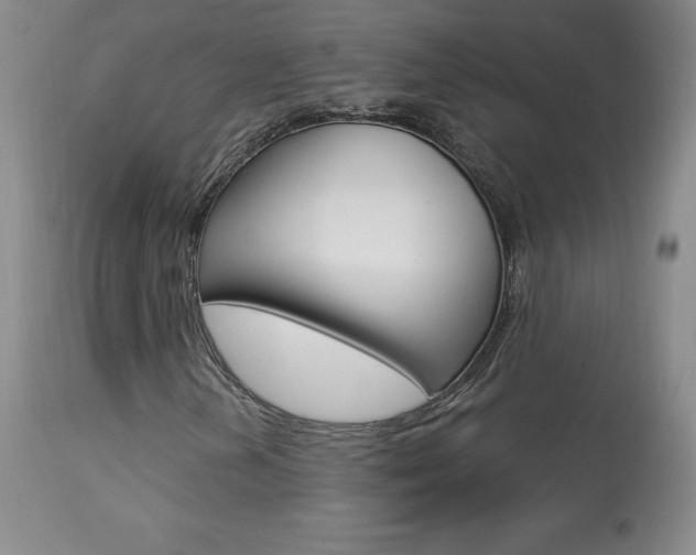 X0000113921202200909241321
