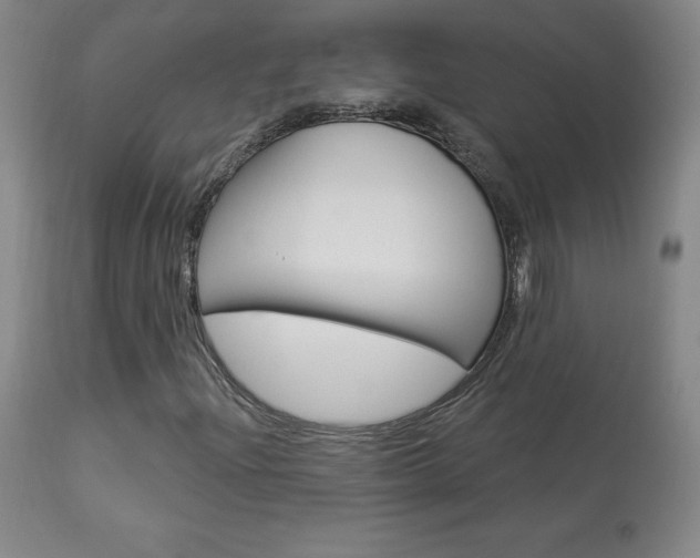 X0000113921204200909241321