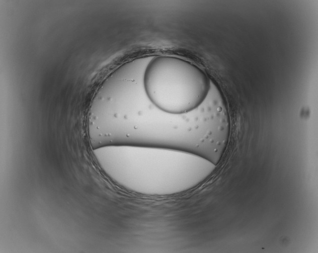 X0000113921205200909241321