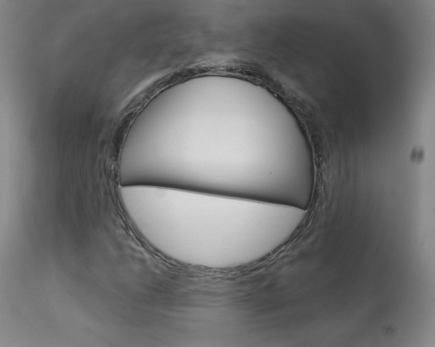 X0000113921206200909241321