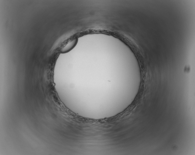 X0000113921207200909241321