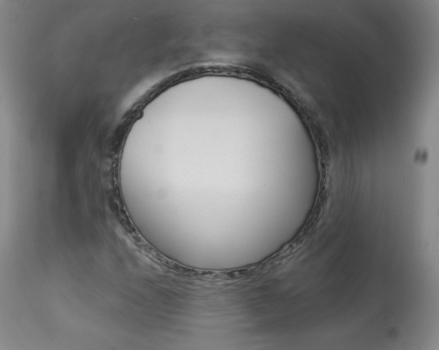 X0000113921208200909241321