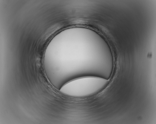 X0000113921209200909241321