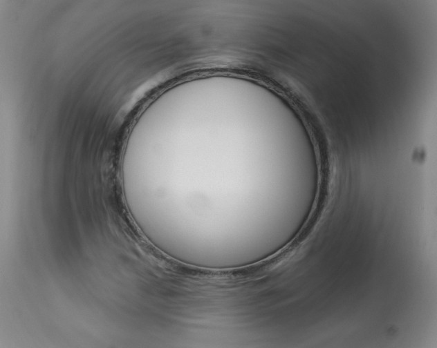 X0000113921210200909241321
