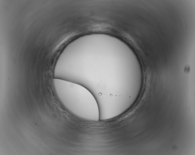 X0000113921211200909241321