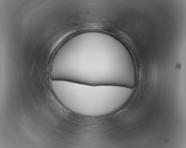 X0000113921212200909241321