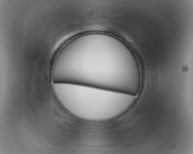 X0000113921214200909241321