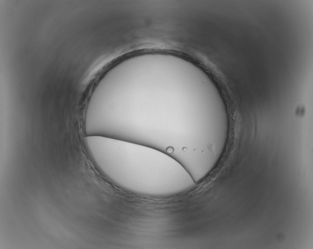 X0000113921215200909241321