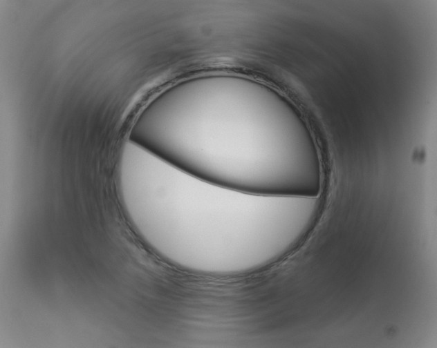 X0000113921218200909241321