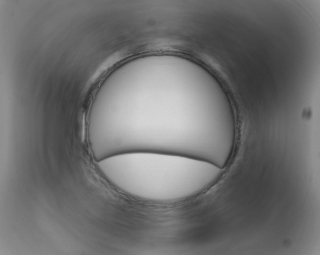 X0000113921219200909241321