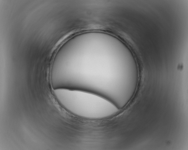 X0000113921220200909241321