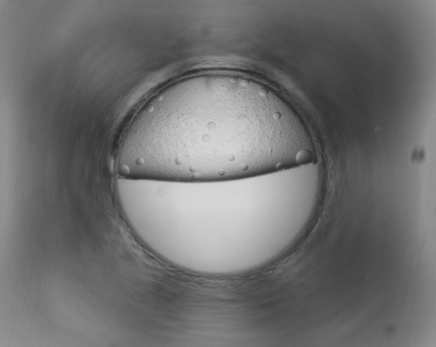X0000113921221200909241321