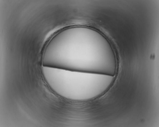 X0000113921222200909241321