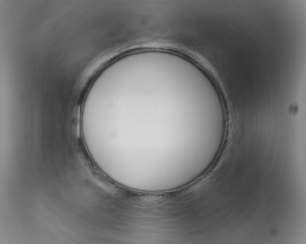X0000113921223200909241321