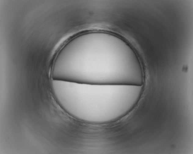 X0000113921224200909241321
