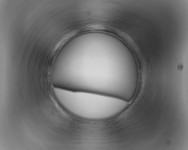 X0000113921225200909241321