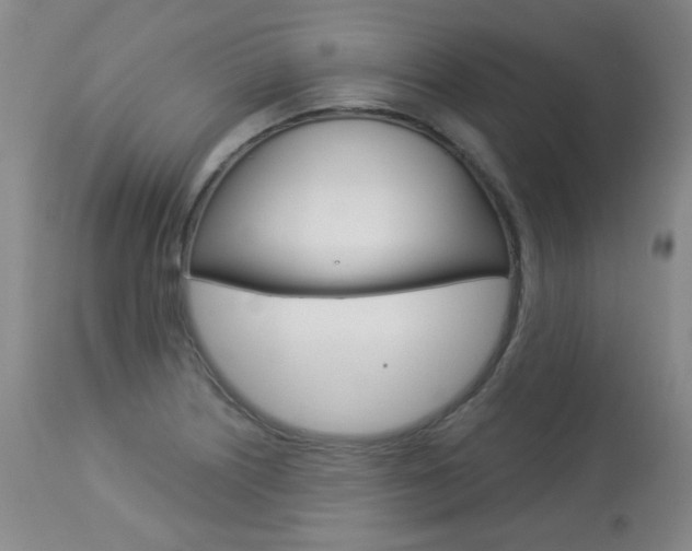 X0000113921226200909241321