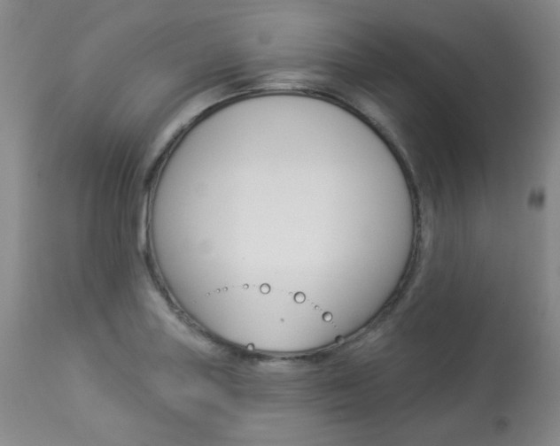 X0000113921227200909241321