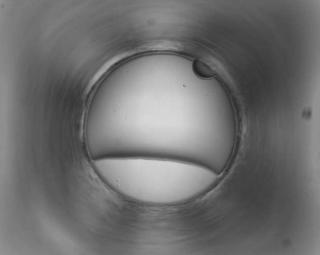 X0000113921228200909241321