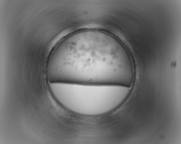 X0000113921229200909241321