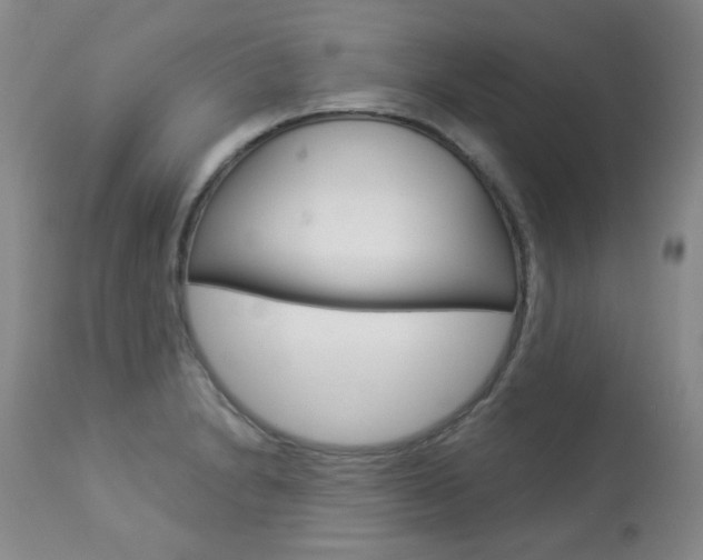 X0000113921230200909241321