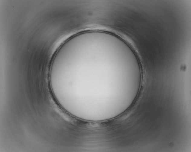 X0000113921231200909241321