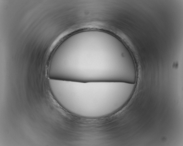 X0000113921232200909241321