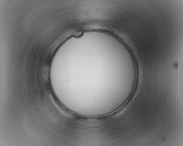 X0000113921233200909241321