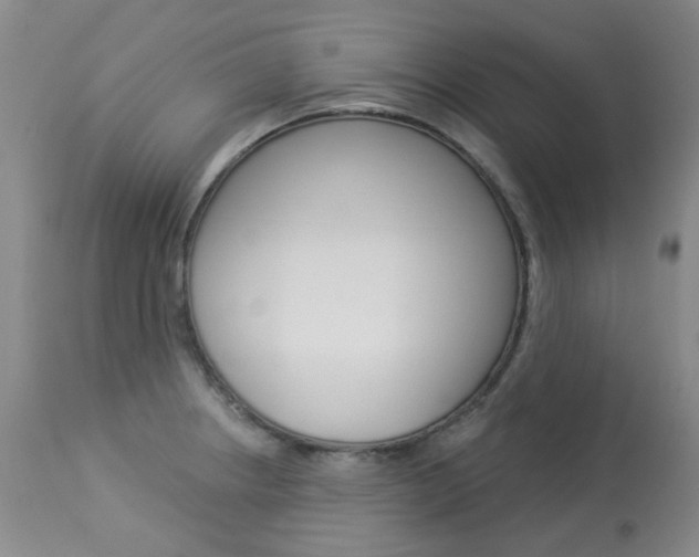 X0000113921234200909241321