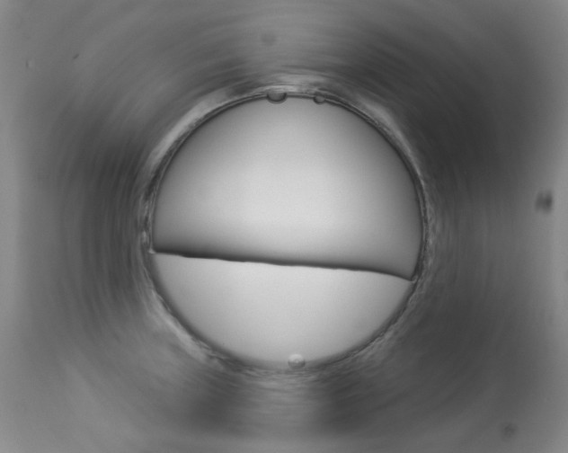 X0000113921235200909241321