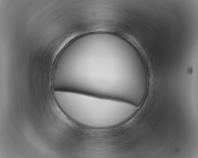 X0000113921236200909241321