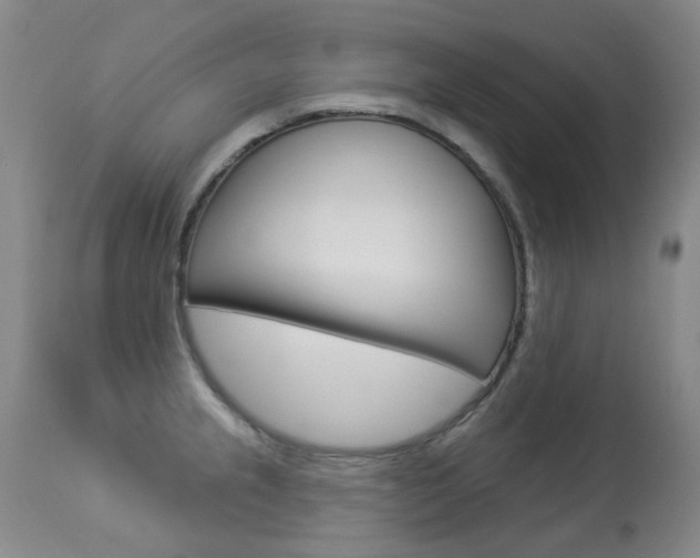 X0000113921237200909241321