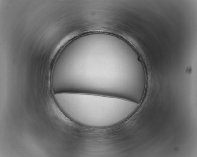 X0000113921238200909241321