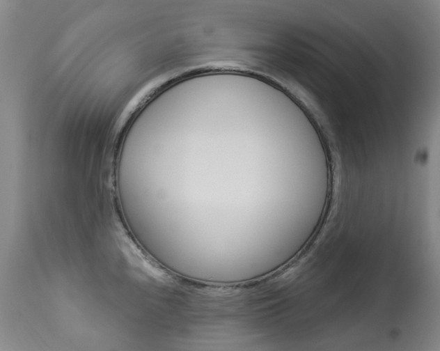 X0000113921240200909241321