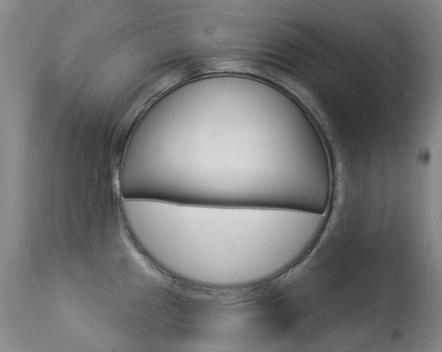 X0000113921241200909241321
