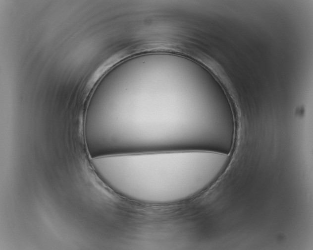 X0000113921242200909241321