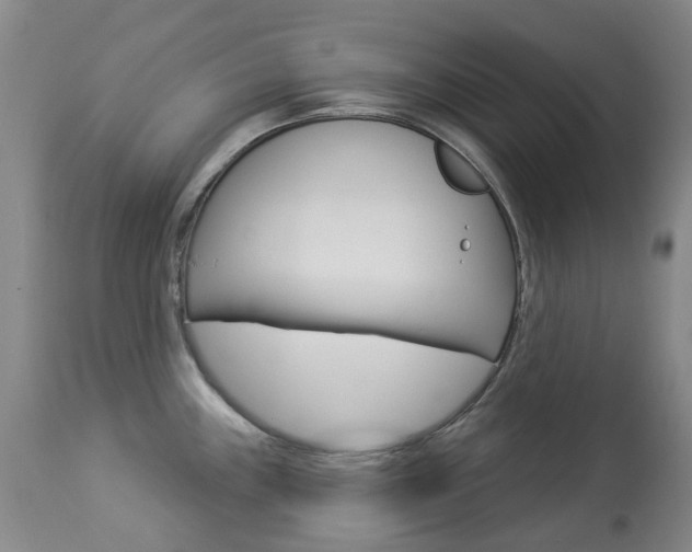 X0000113921243200909241321