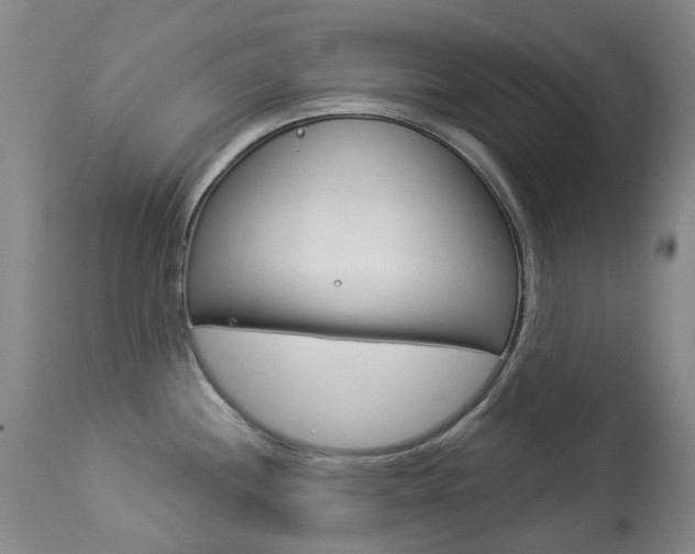 X0000113921244200909241321