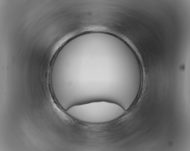 X0000113921245200909241321