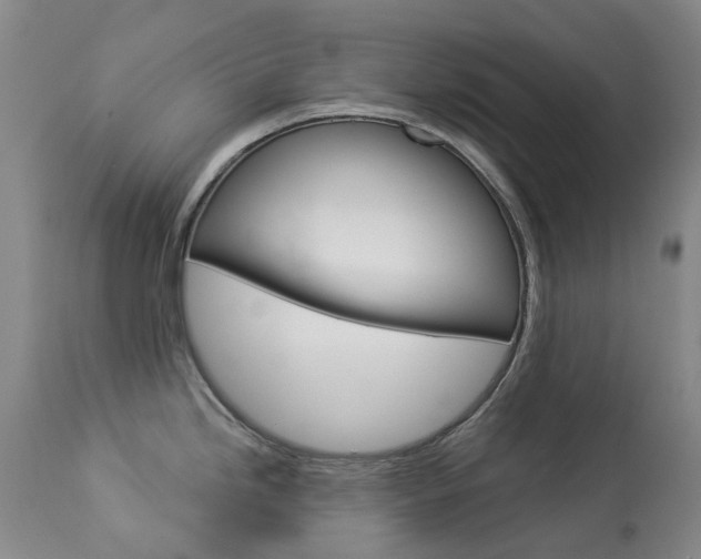 X0000113921246200909241321