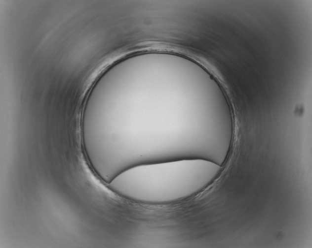 X0000113921247200909241321