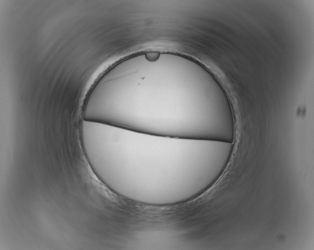 X0000113921248200909241321