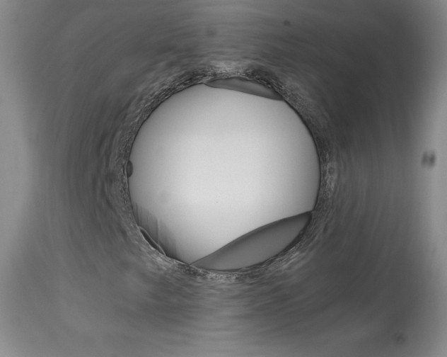 X0000113921249200909241321