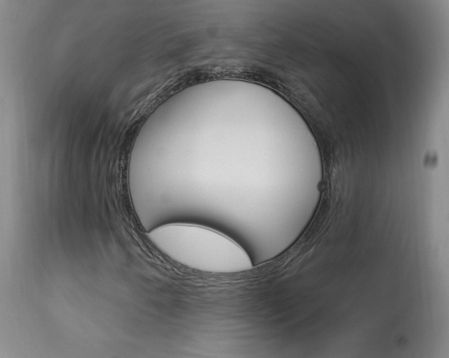 X0000113921250200909241321