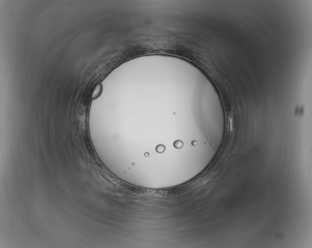 X0000113921251200909241321