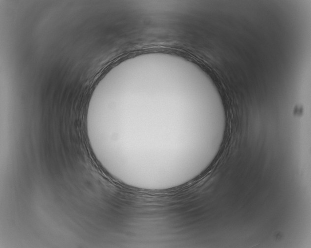 X0000113921252200909241321