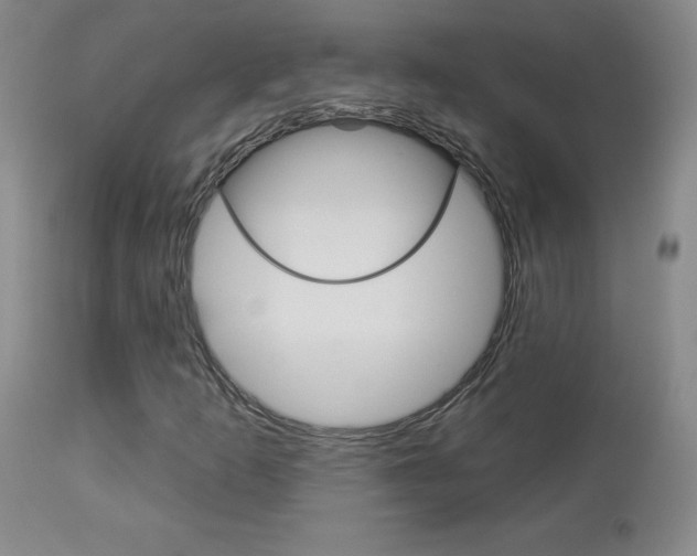X0000113921253200909241321