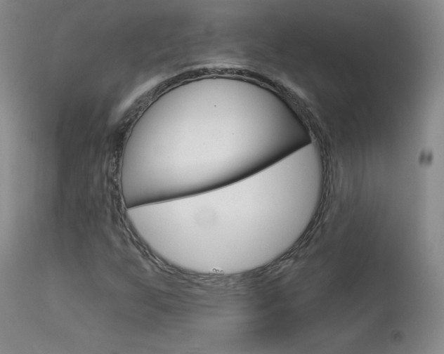 X0000113921255200909241321