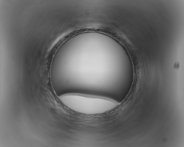 X0000113921256200909241321